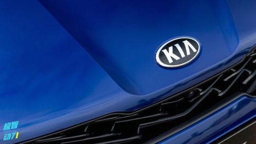 年度汽車可靠性排名生變，銷量王者緣何淪為質量洼地？